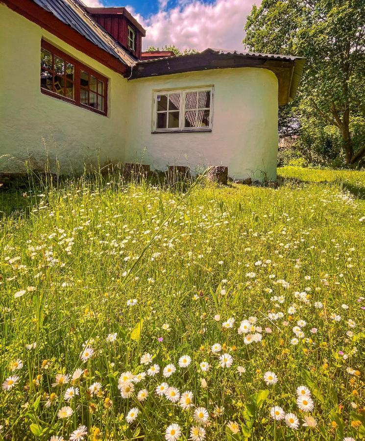 Tobishirdgård *